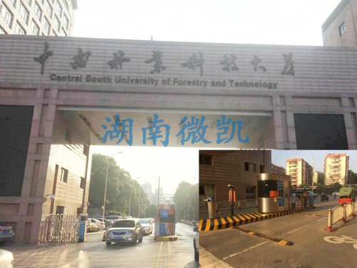 中南林业科技大学